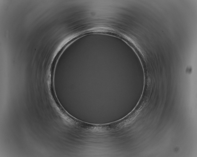 X0000097911418200803281352