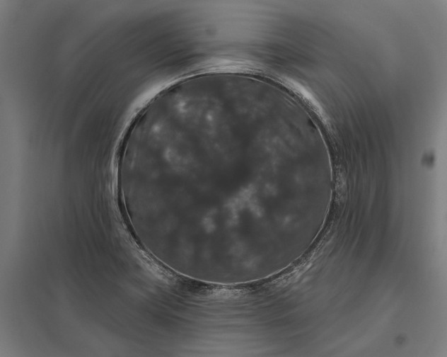 X0000097911419200803281352