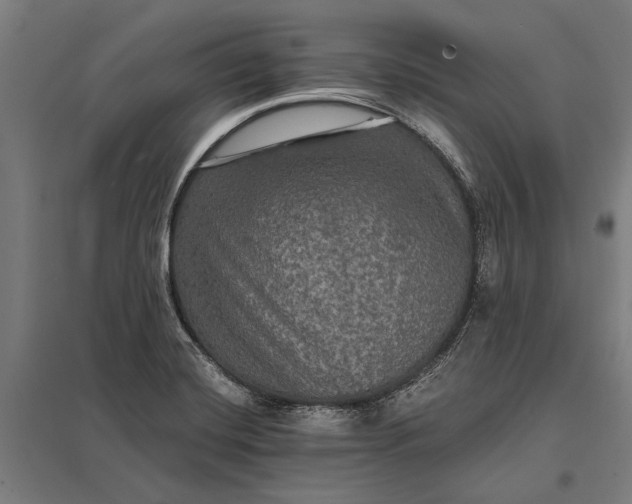 X0000097911420200803281352