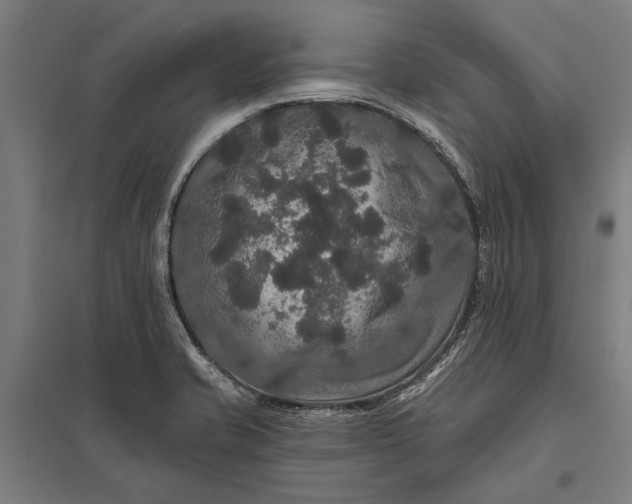 X0000097911421200803281352