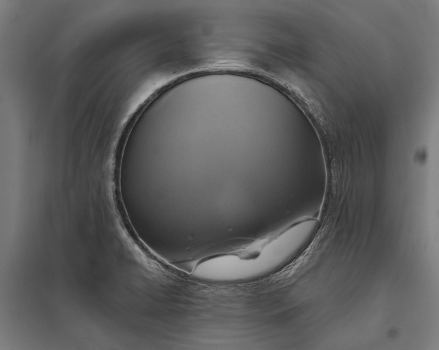 X0000097911422200803281352