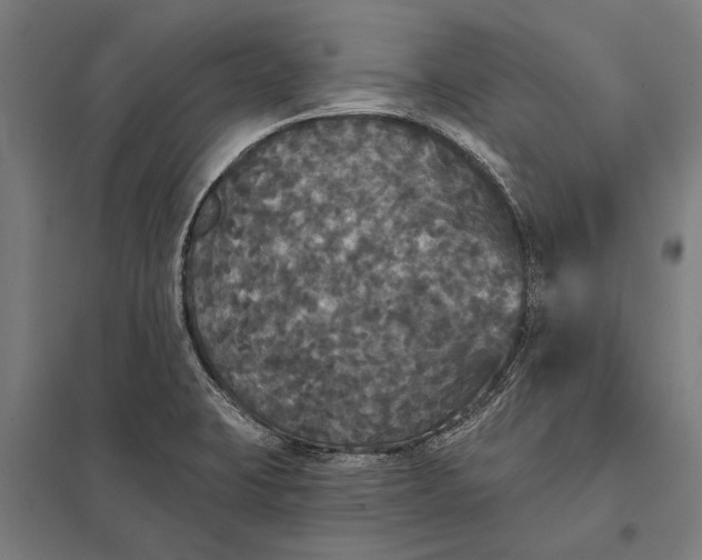 X0000097911423200803281352