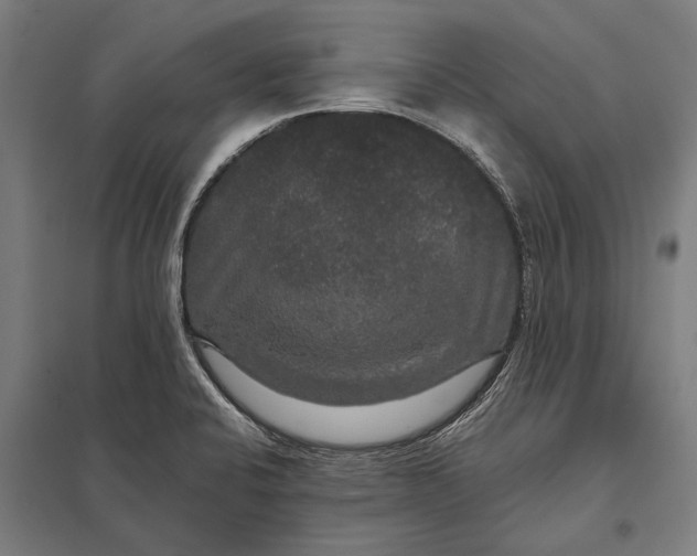 X0000097911424200803281352