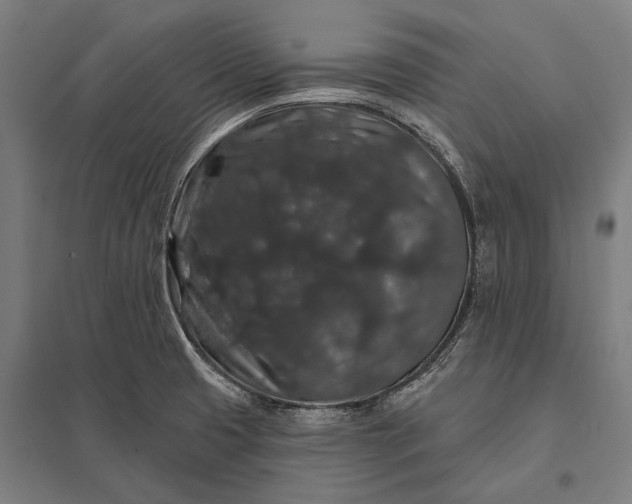 X0000097911425200803281352