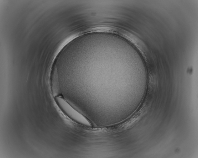 X0000097911426200803281352