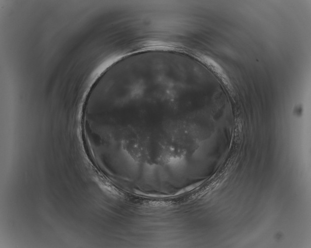 X0000097911427200803281352