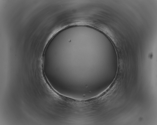 X0000097911428200803281352