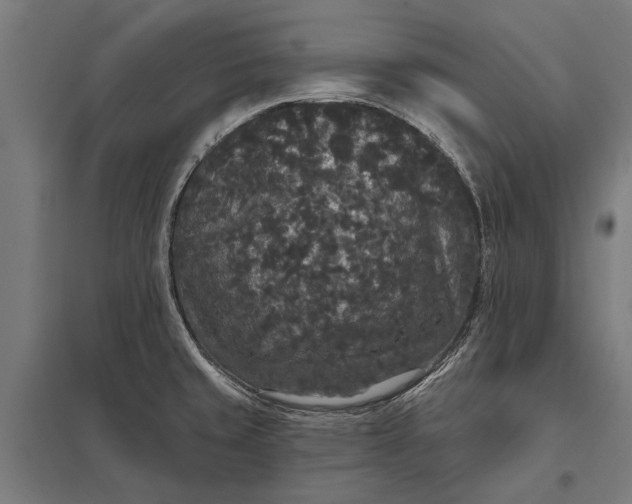 X0000097911429200803281352