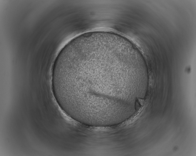 X0000097911430200803281352