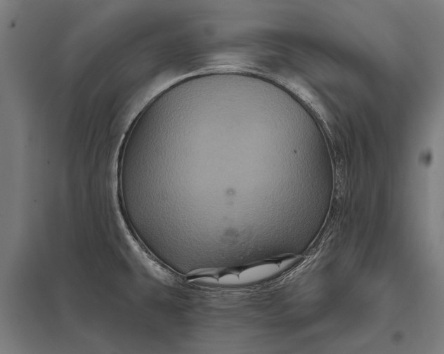 X0000097911431200803281352