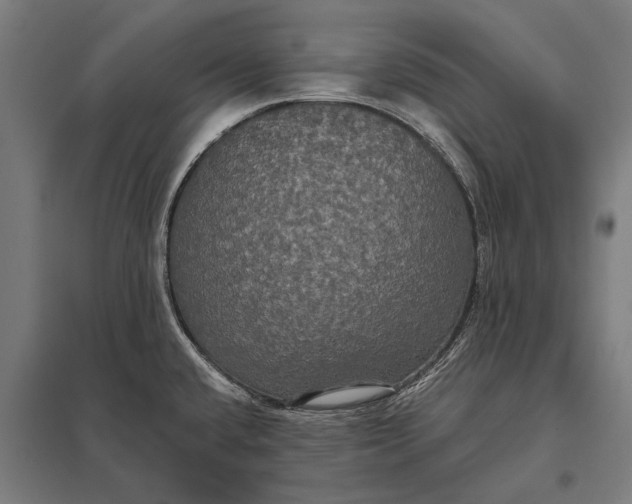 X0000097911432200803281352