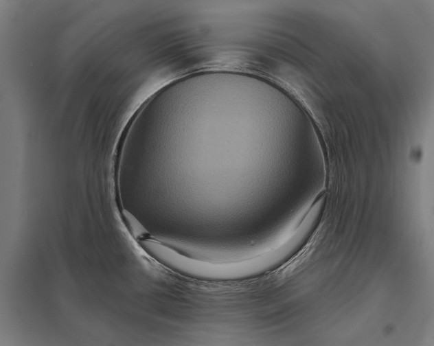 X0000097911434200803281352