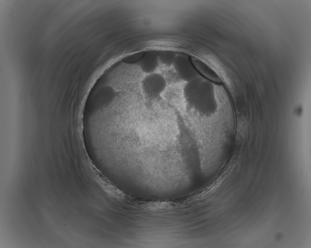 X0000097911435200803281352