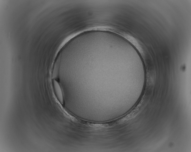 X0000097911436200803281352