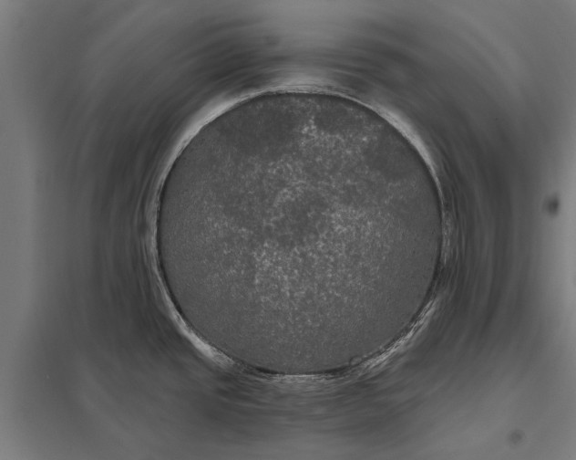 X0000097911437200803281352