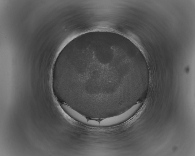 X0000097911438200803281352