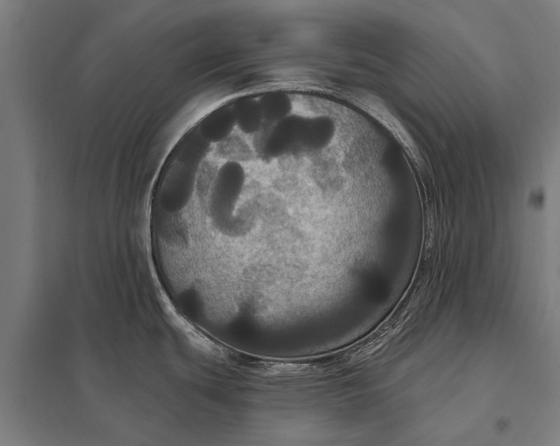 X0000097911439200803281352