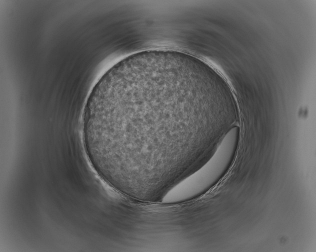 X0000097911440200803281352