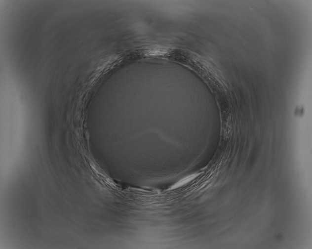 X0000097911441200803281351