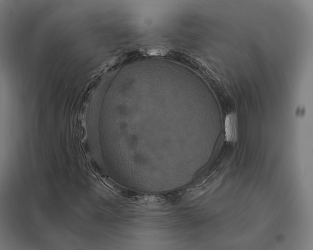 X0000097911443200803281351