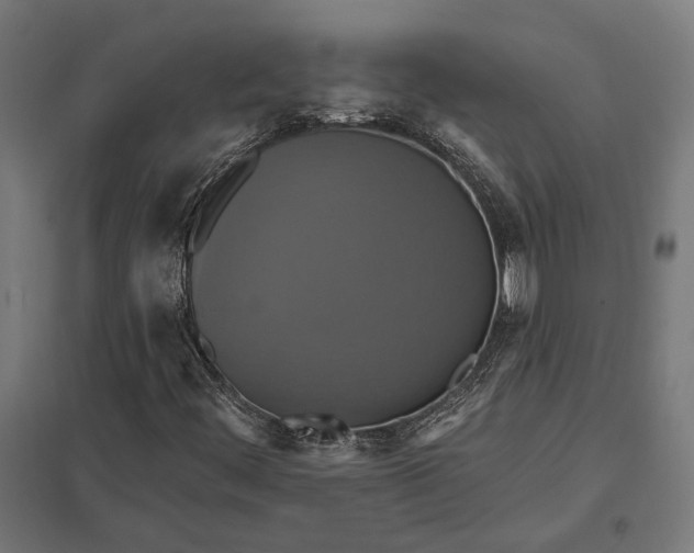 X0000097911444200803281351