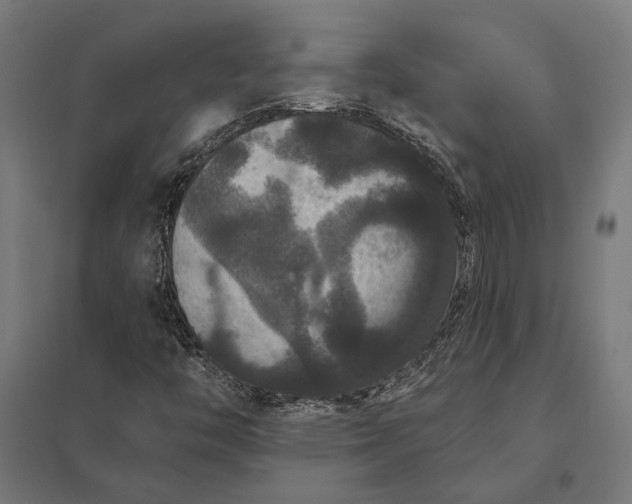 X0000097911446200803281351