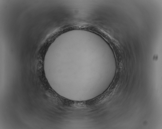 X0000097911447200803281351