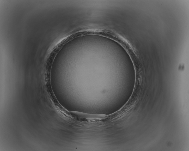 X0000097911448200803281351