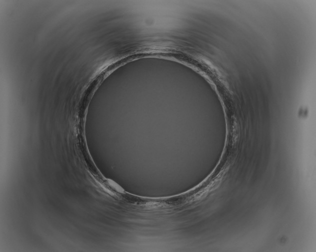 X0000097911449200803281351