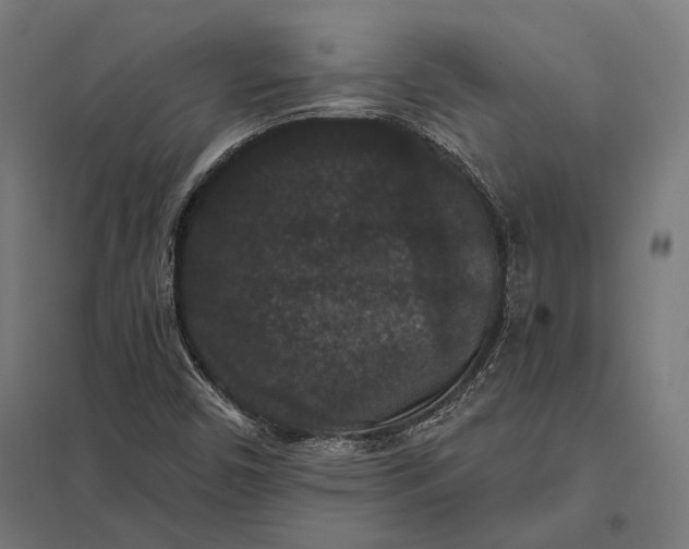 X0000097911450200803281351