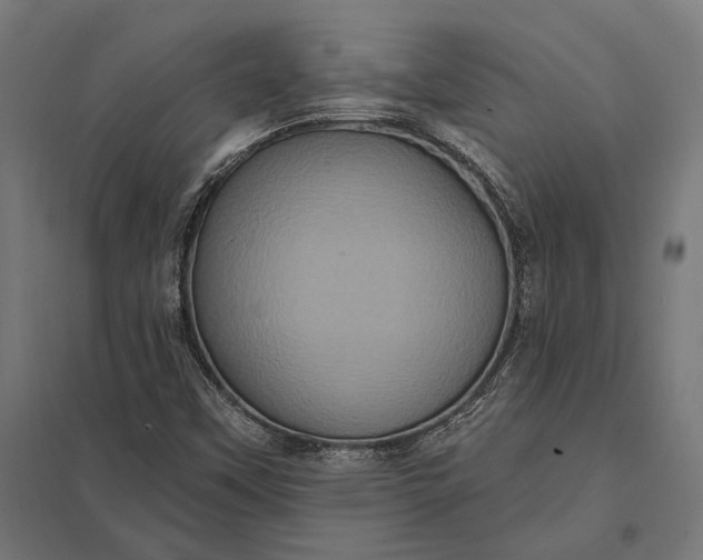 X0000097911451200803281351