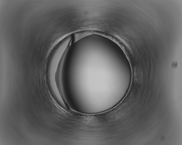 X0000097911452200803281351