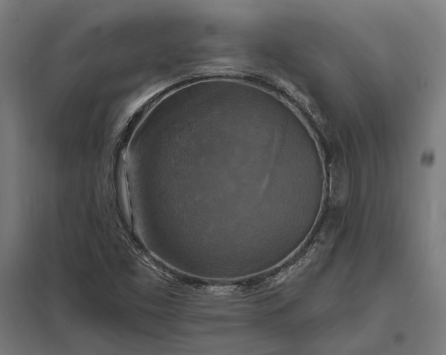 X0000097911453200803281351