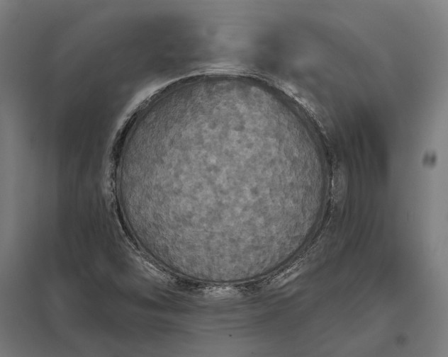 X0000097911454200803281351