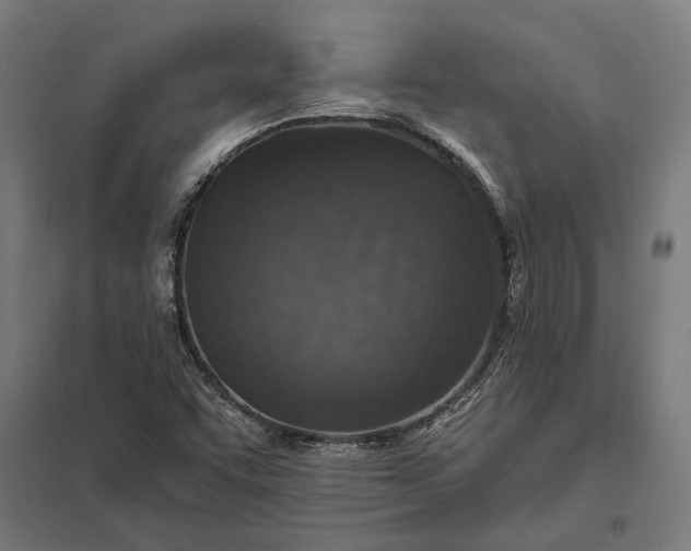 X0000097911455200803281351