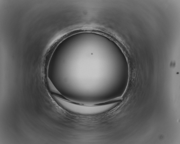 X0000097911456200803281351