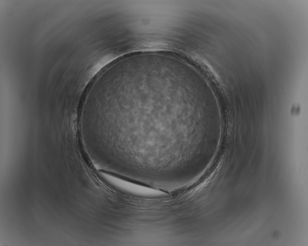 X0000097911457200803281351