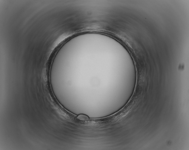 X0000097911458200803281351