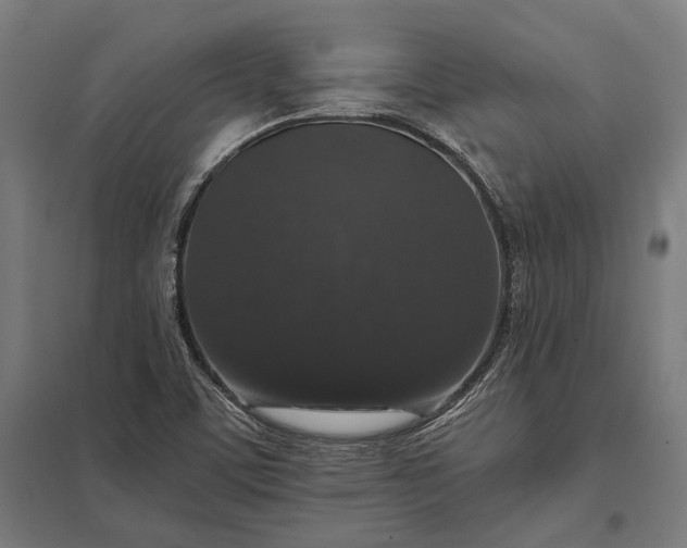 X0000097911459200803281351