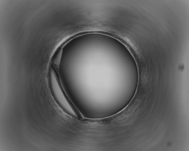 X0000097911460200803281351