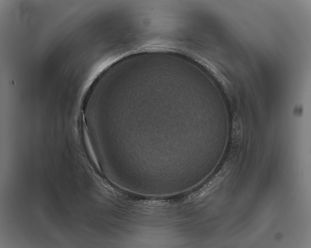 X0000097911461200803281351