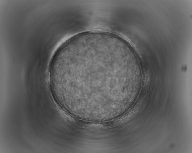 X0000097911462200803281351