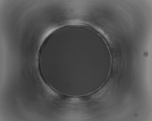 X0000097911463200803281351