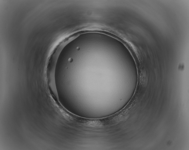 X0000097911464200803281351