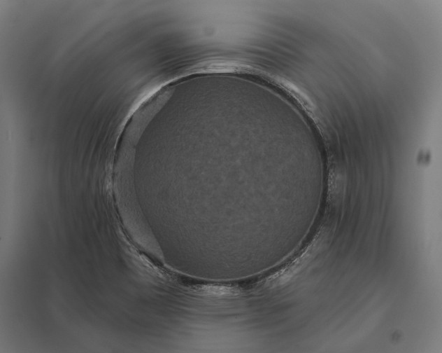 X0000097911465200803281351