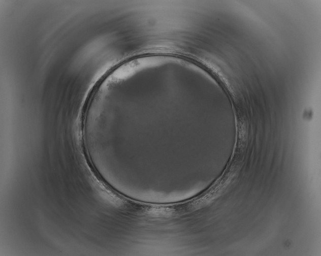 X0000097911466200803281351