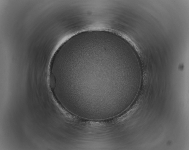 X0000097911469200803281351