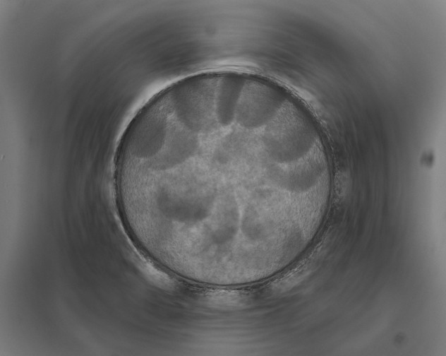 X0000097911470200803281351