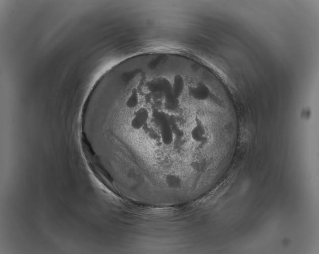 X0000097911471200803281351