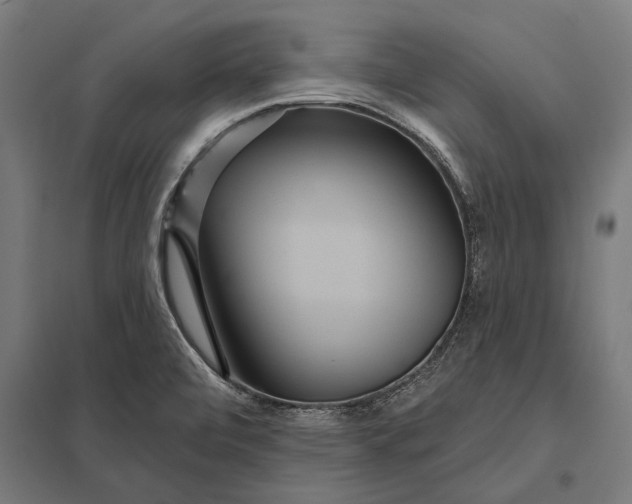 X0000097911472200803281351